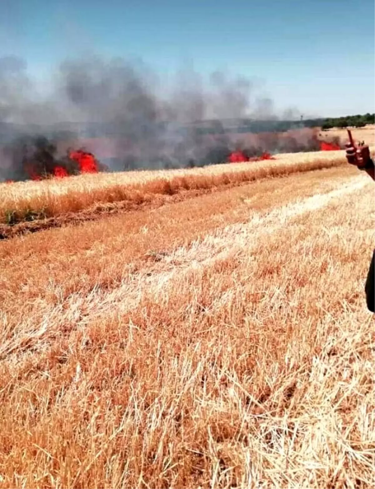 Biçerdöverden çıkan yangın ekinleri kül etti