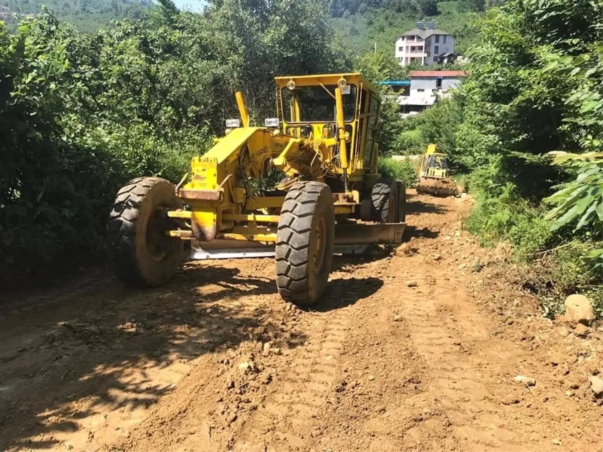 Boğaziçi\'nde fındık bahçelerine ulaşım kolay olacak