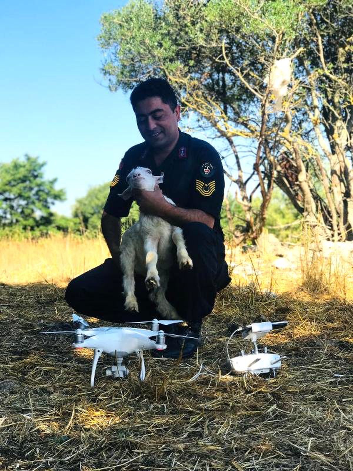 Kaybolan 72 küçükbaş \'drone\' yardımıyla bulundu