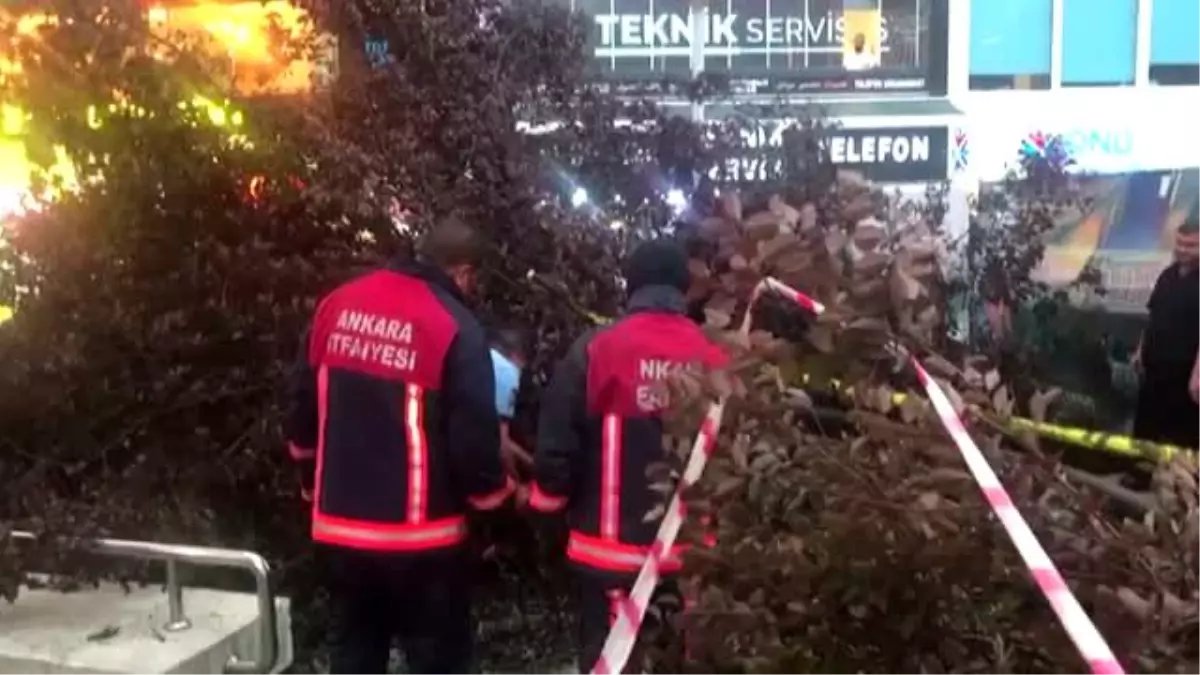 Kızılay\'da metro çıkışında ağaç devrildi: 3 yaralı (3)