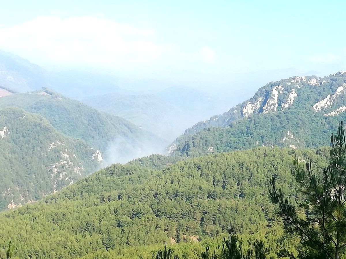 Osmaniye\'de Amanos Dağları\'nda orman yangını