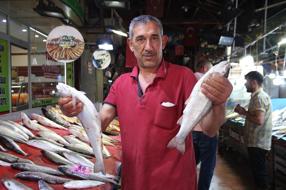 Sezon açıldı, tezgahlar balıklarla renklendi