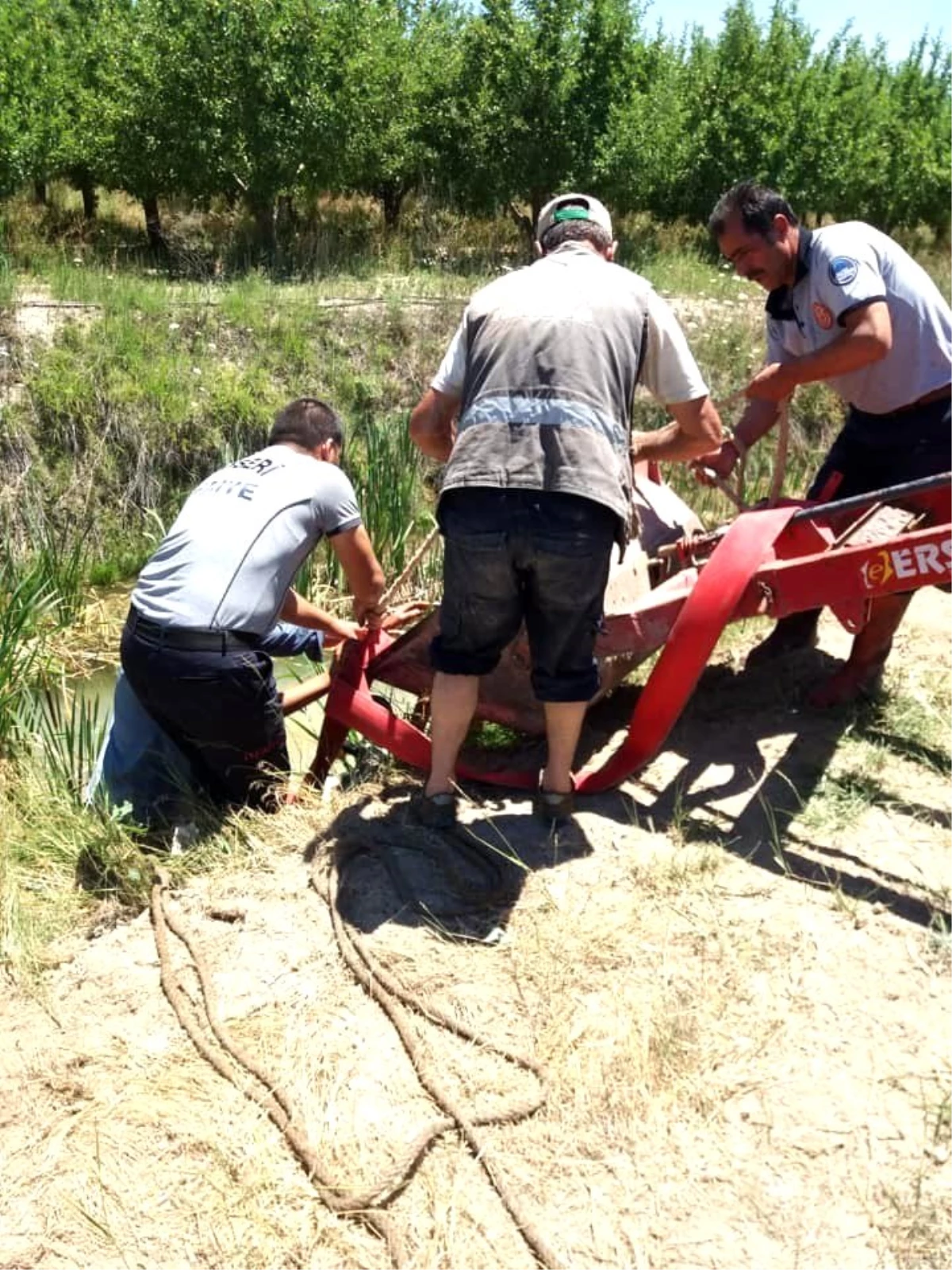 Su kanalına düşen inek itfaiye ekiplerince kurtarıldı