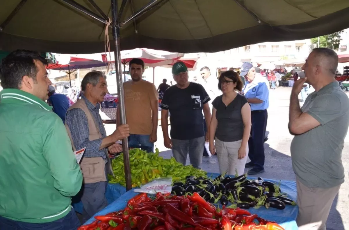 Tarım Müdürlüğü Meyve üreticilerine Akdeniz Sineğini anlattı