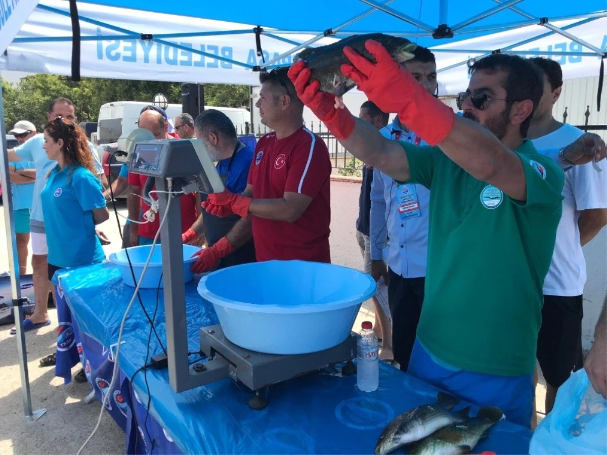 Tekirdağ\'da Zıpkınla Balık Avı Şampiyonası heyecanı