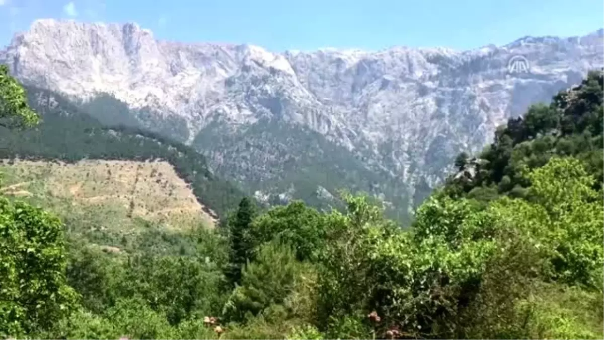 Almanların "yıkık kenti" turizm için ayağa kaldırılıyor - ADANA