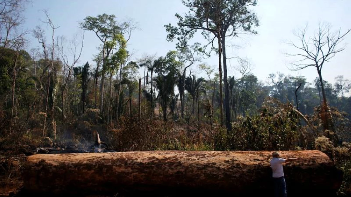 Amazonlardaki tahribat yüzde 88 arttı; Bolsonaro\'dan Macron ve Merkel\'e davet