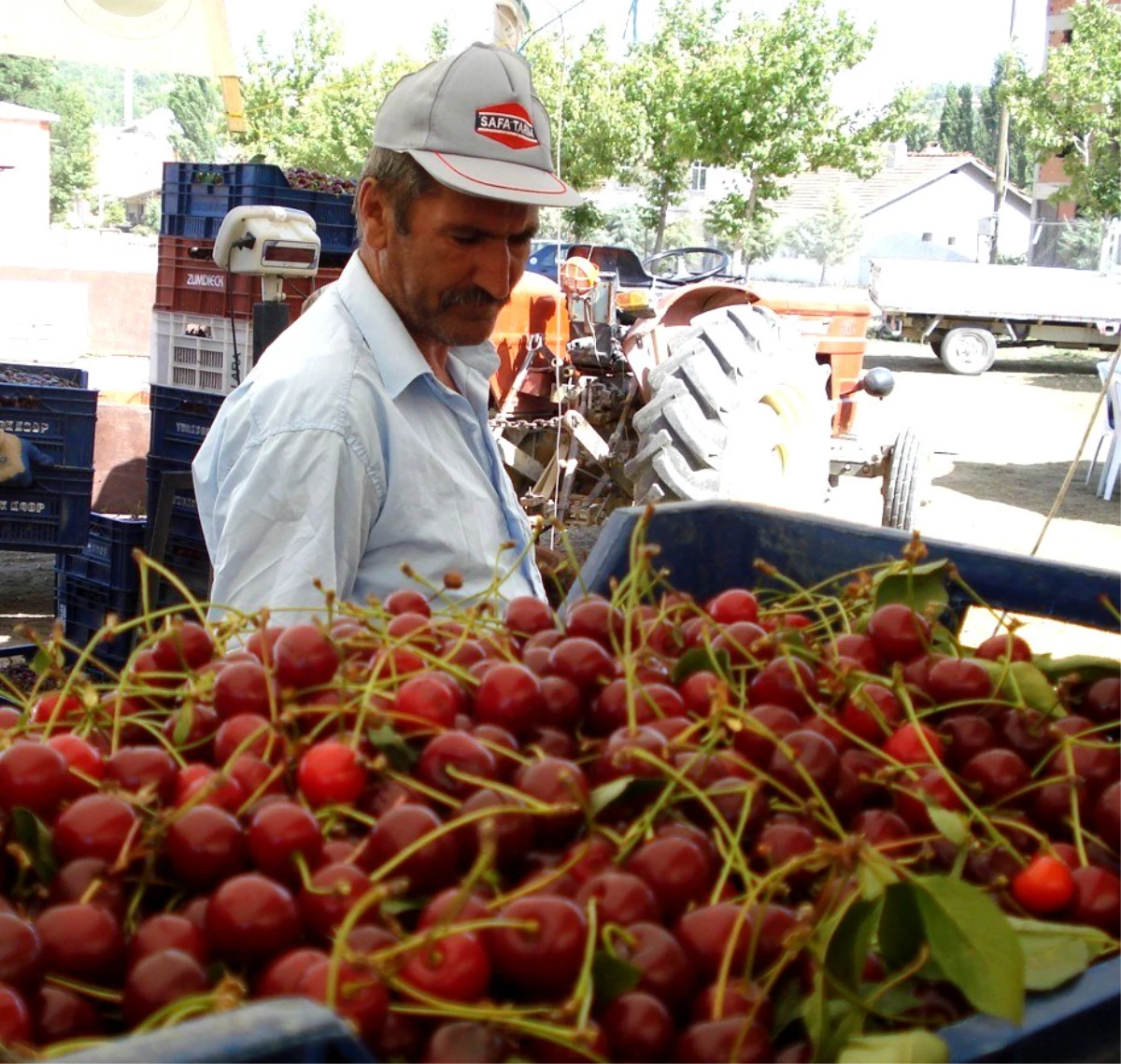 Belediye başkanlarından vişne fiyatına tepki