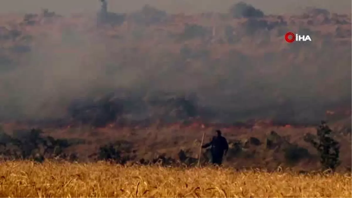 Buğday ekili tarlalarda çıkan yangında çiftçilerin 2 yıllık emeği kül oldu