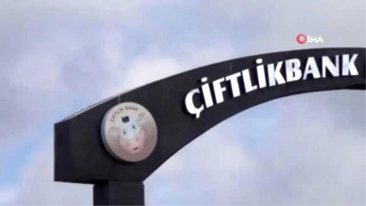 Çiftlik Bank davasında tahliye