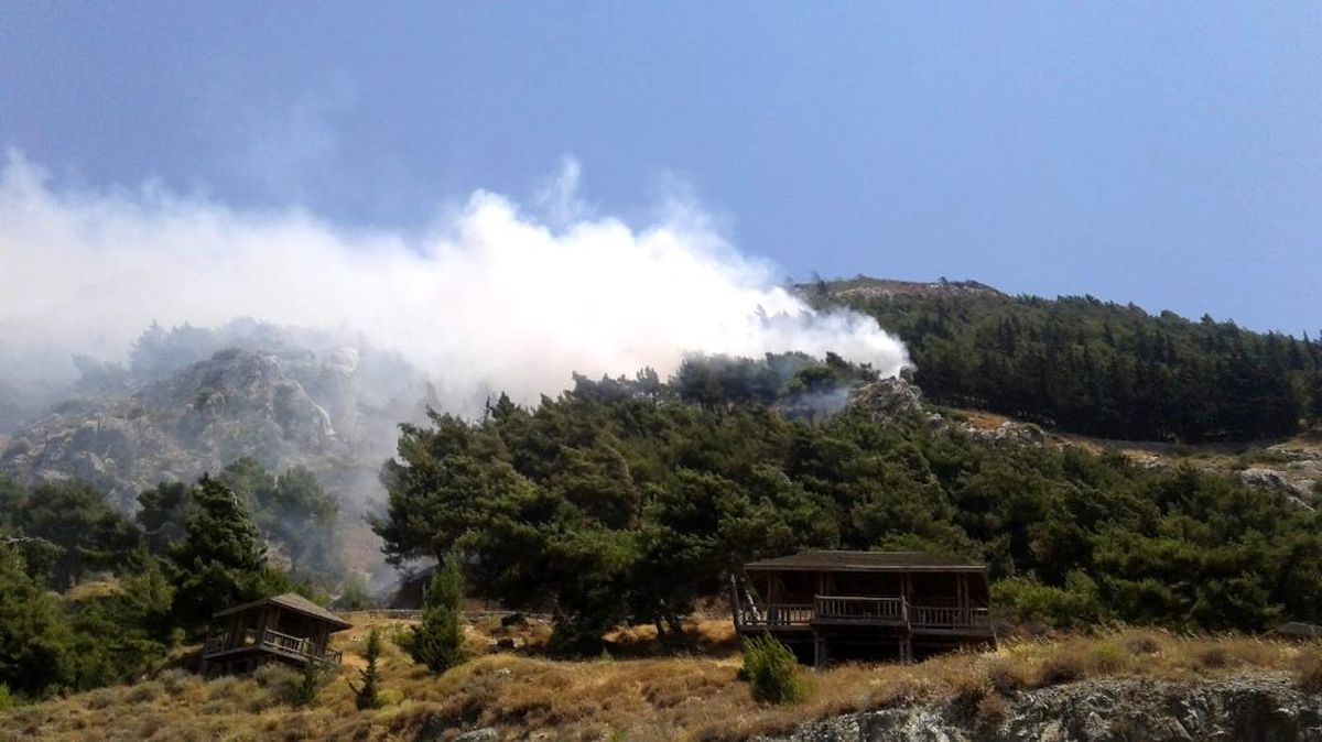 Çocukların attığı maytap ormanı kül etti