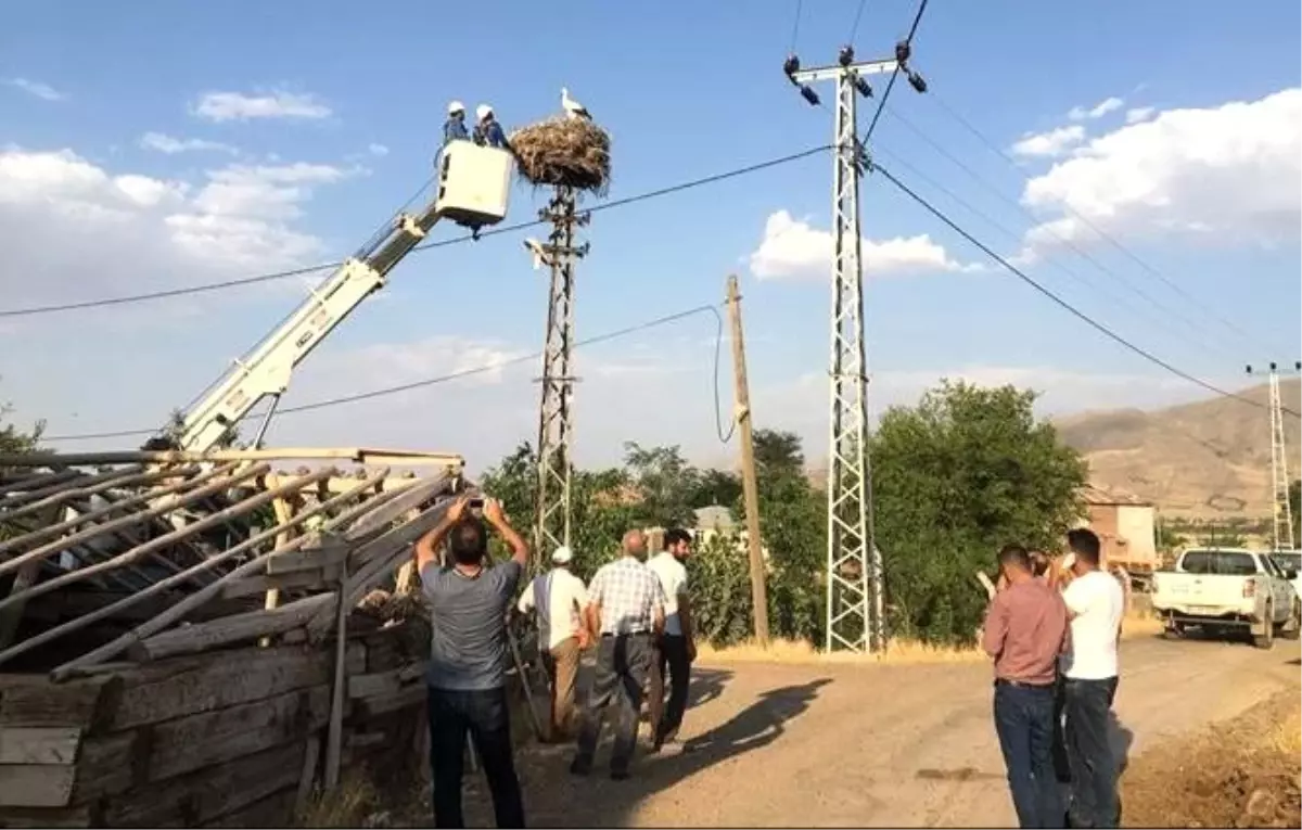 Elazığ\'da yavru leylekler kurtarıldı