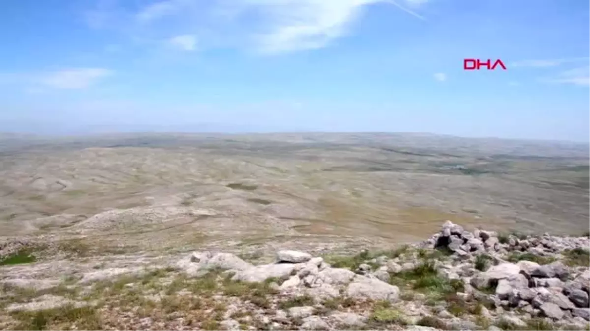 İZMİR Egeli akademisyen keşfettiği bitkiye anne ve babasının adını verdi