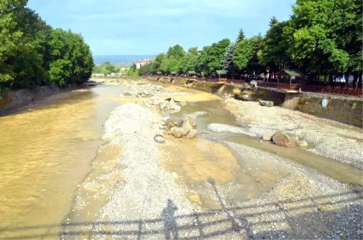 Kastamonu\'da sağanak hayatı olumsuz etkiledi, 8 büyükbaş sele kapıldı