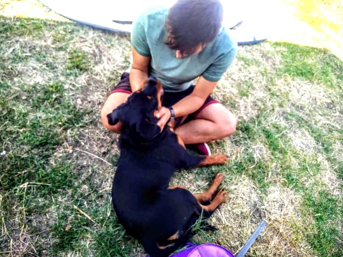 Malkaralı vatandaş kaybolan köpeğine kavuştu