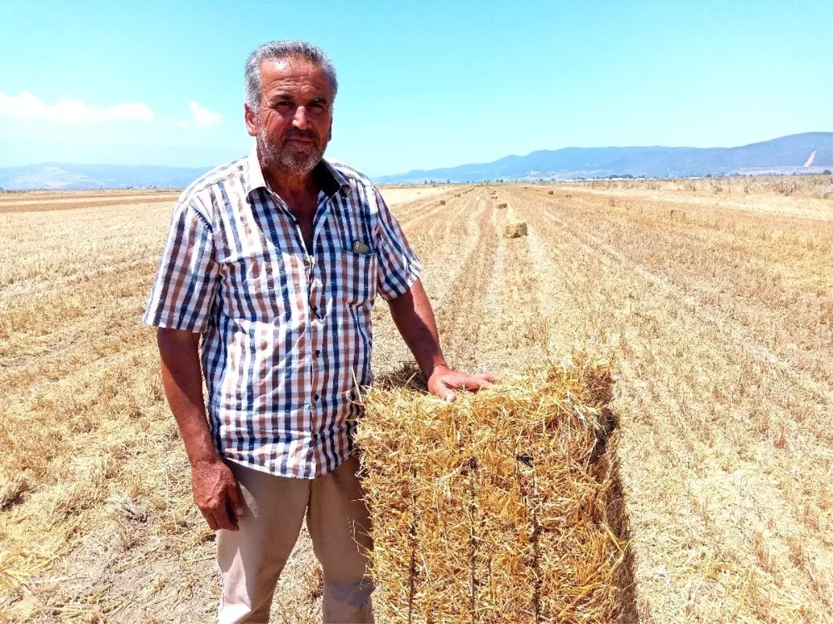 "Sakla samanı, gelir zamanı" sözü gerçek oldu