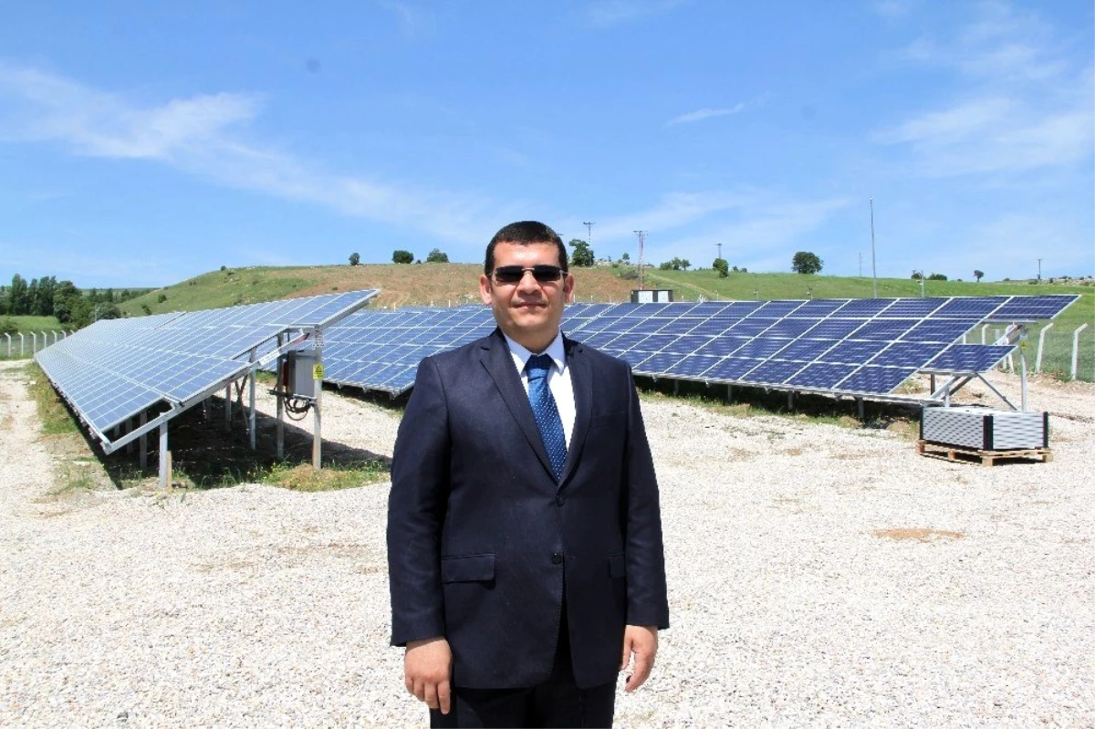 Panel ektiler, enerji biçiyorlar