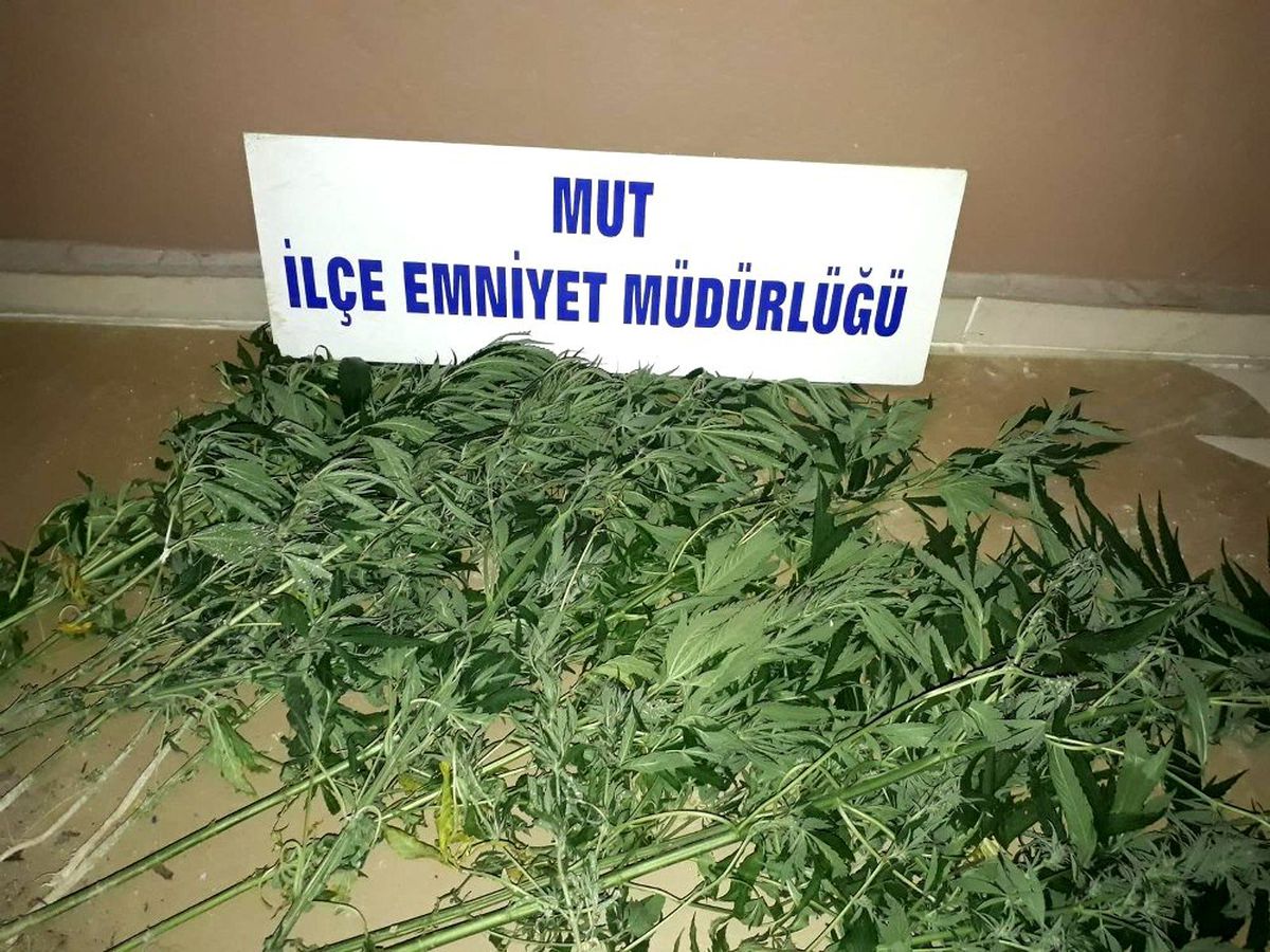 Polis ve Jandarma ekipleri uyuşturucu tacirlerine ve hırsızlara göz açtırmıyor