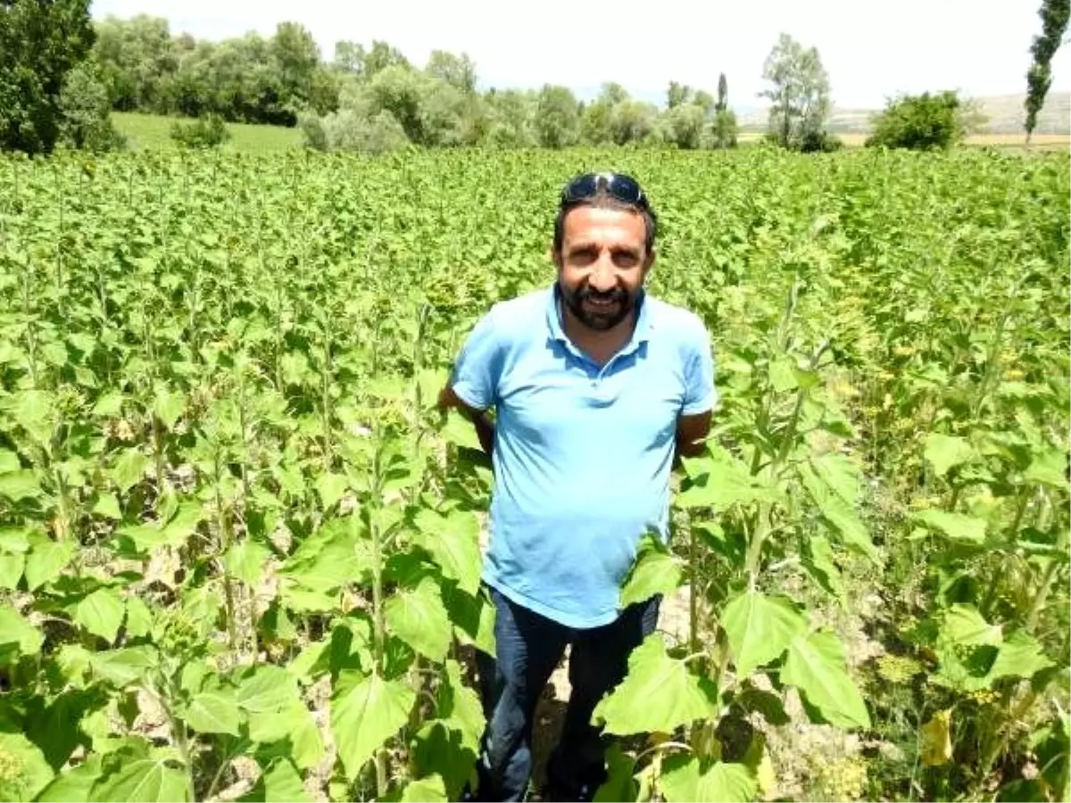 555 bin liralık büyük ikramiyeyi alan çiftçi, köyüne geri döndü