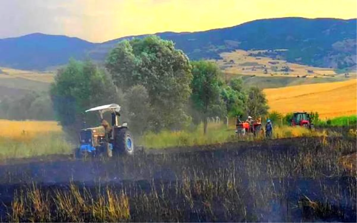 Buğday tarlasındaki yangını traktörlerle söndürdüler
