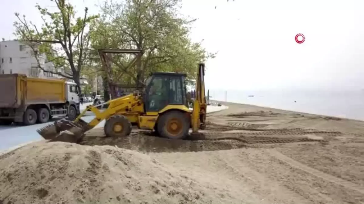 Bursa plajları yosunlardan arındırılıyor