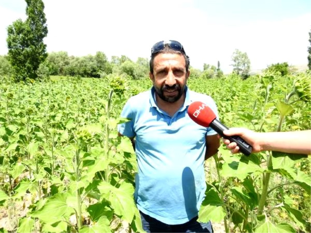 Büyük ikramiyeyi alan çiftçi, köyüne geri döndü