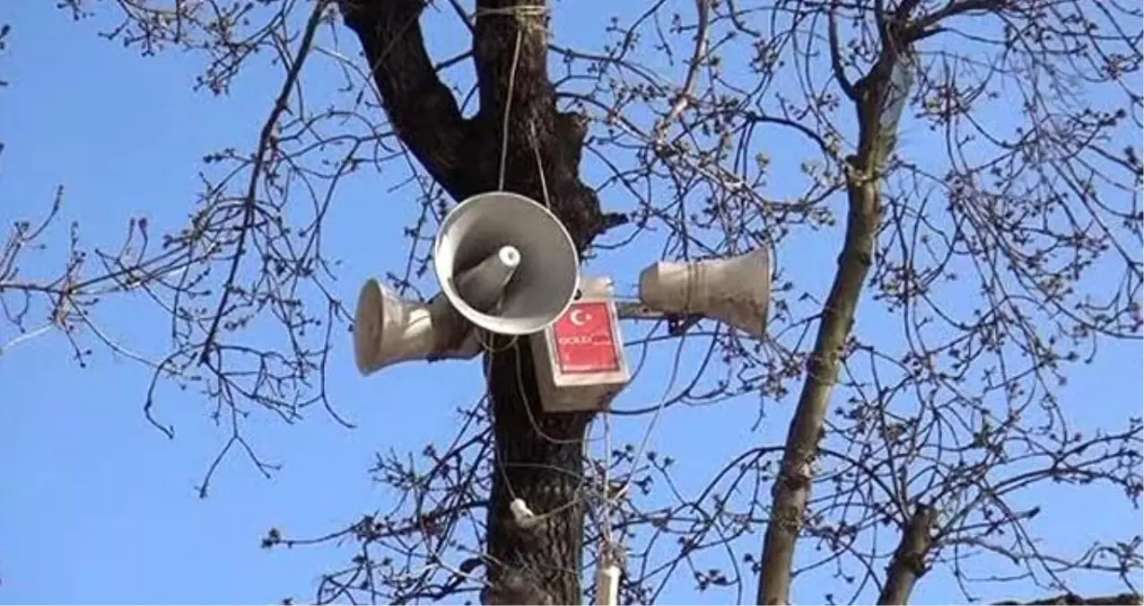 Üniversiteli gencin tuhaf isteği: \'Eşeğim\' diye bağırabilir miyim!