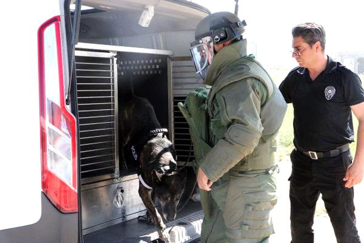 Bomba arama köpekleri tatbikatlarla göreve hazır tutuluyor