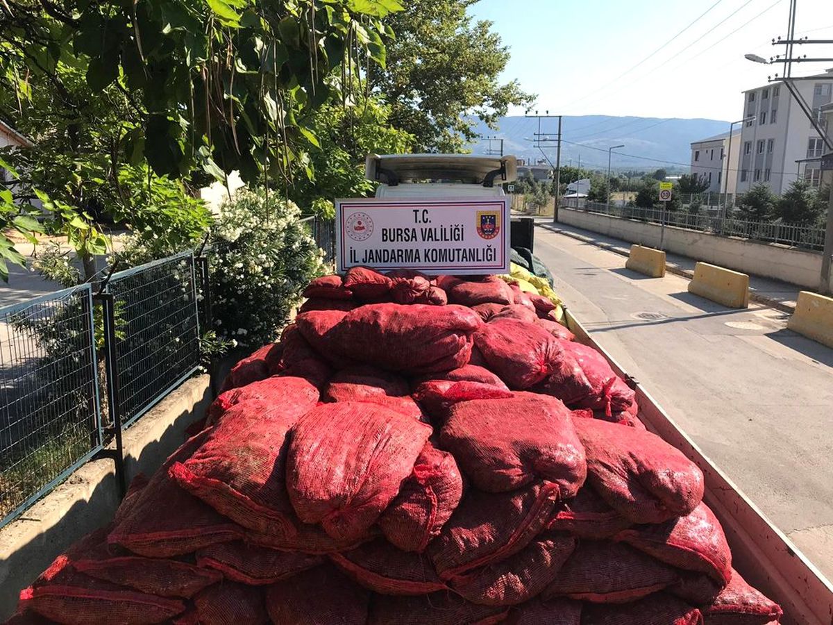 Bursa\'da 12 ton kaçak midye ele geçirildi
