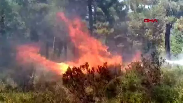 son dakika