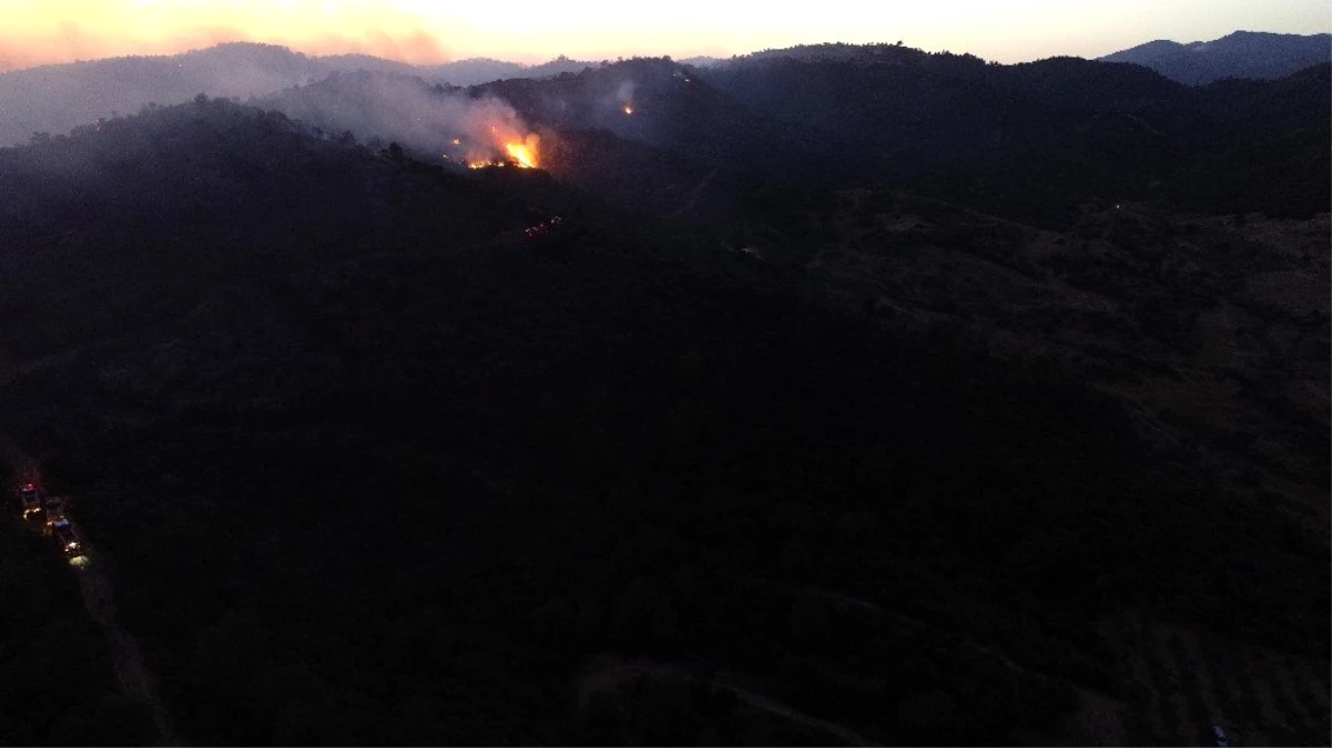 İzmir\'deki orman yangınını söndürme çalışmaları sürüyor