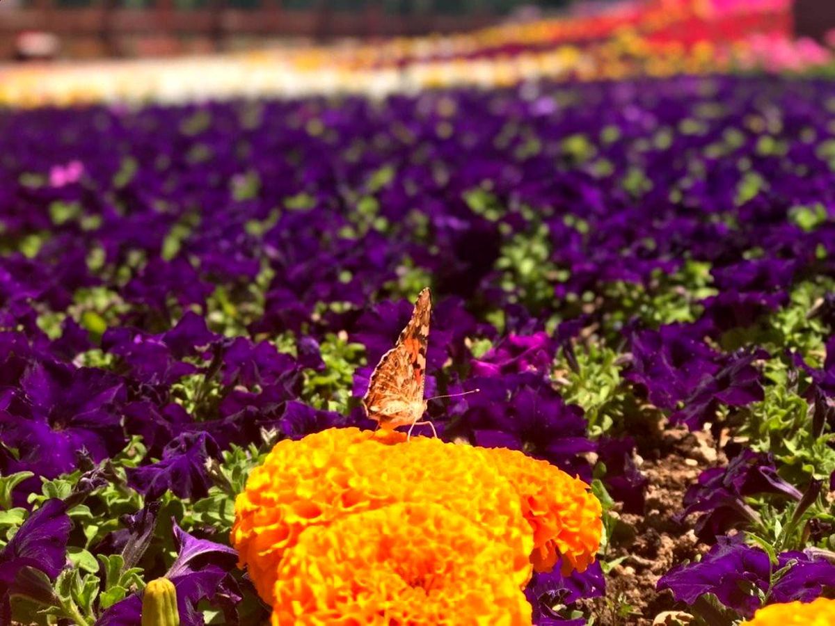 Selçuklu\'da fotoğraf yarışması sonuçlandı