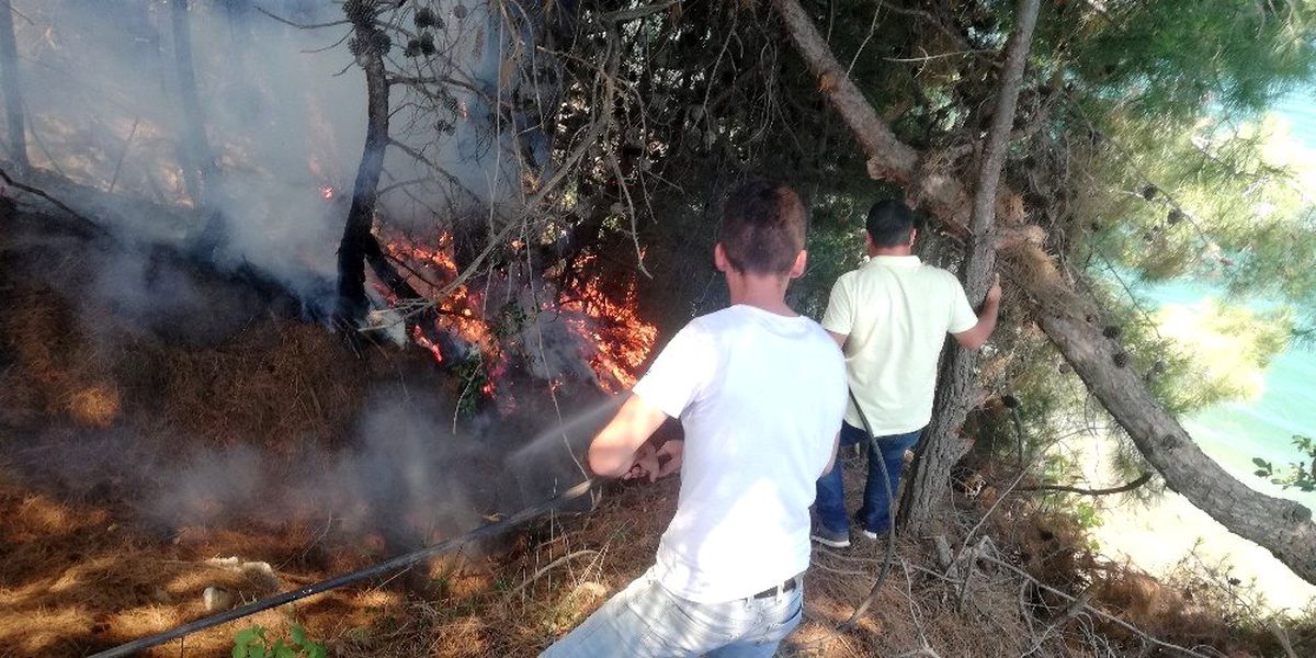 Sorumsuz piknikçiler orman yangınına sebep oldu