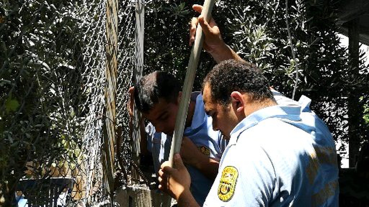 Tarsus\'ta elektrik direği içine sıkışan kediyi itfaiye kurtardı