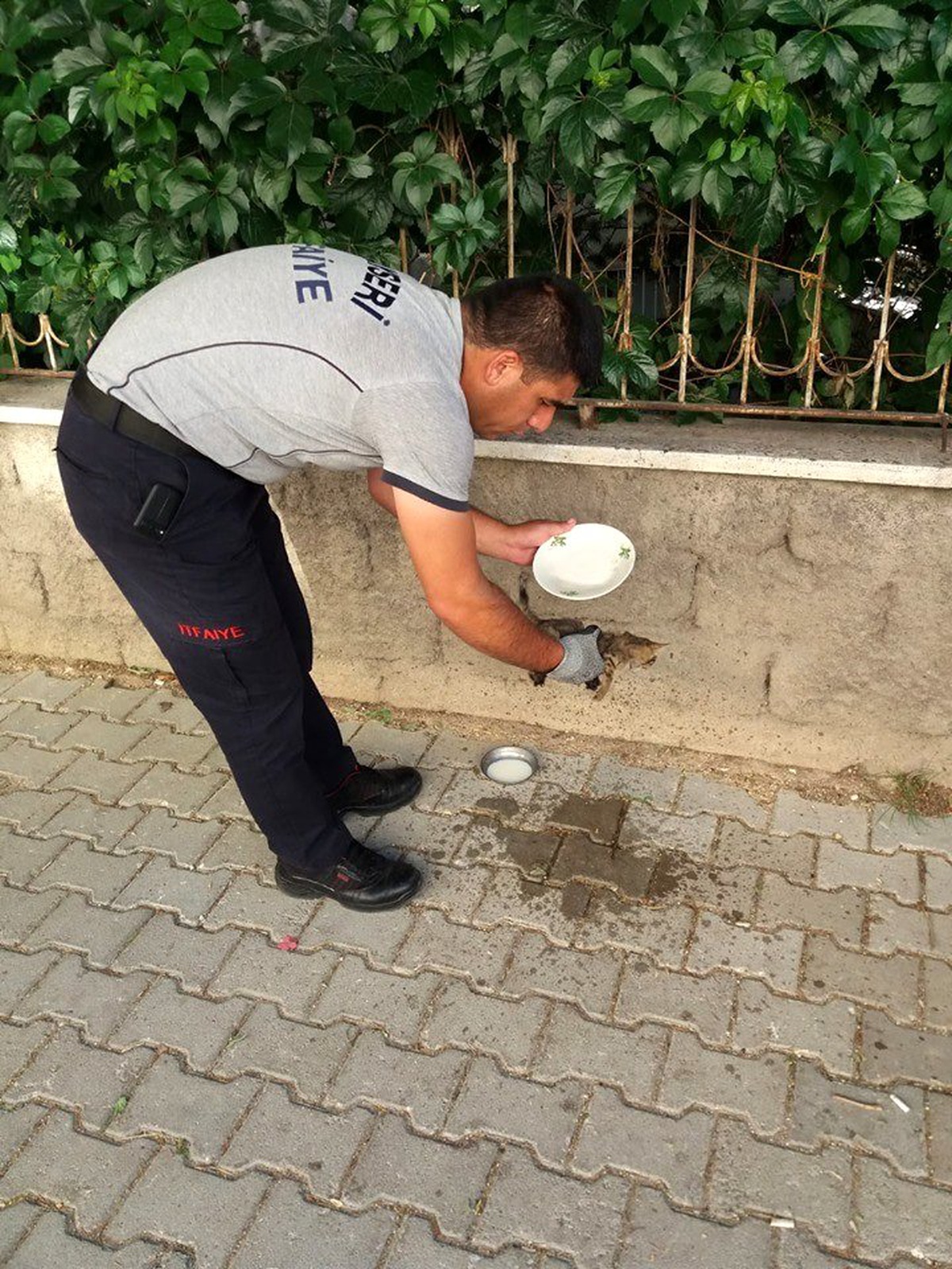 Aracın motor kısmına giren yavru kediyi itfaiye ekipleri çıkardı