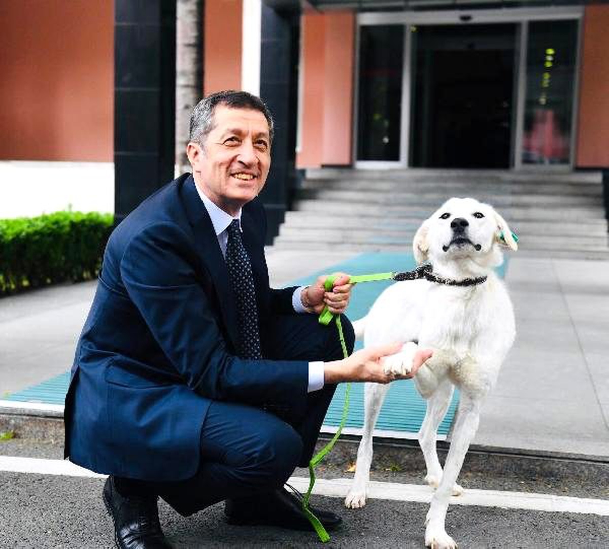 Bakan Selçuk\'un sahiplendiği köpek, bakanlık bahçesinde
