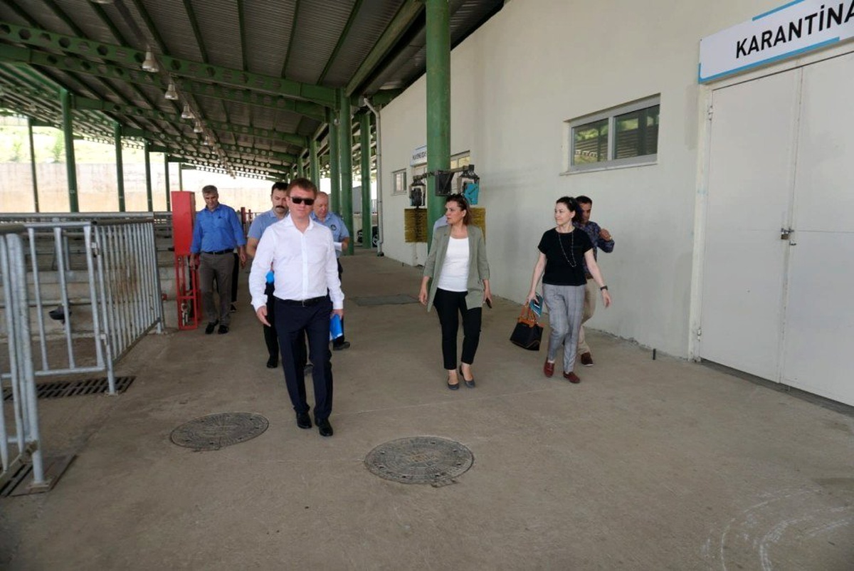 Başkan Hürriyet\'ten hayvan satıcılarına indirim müjdesi