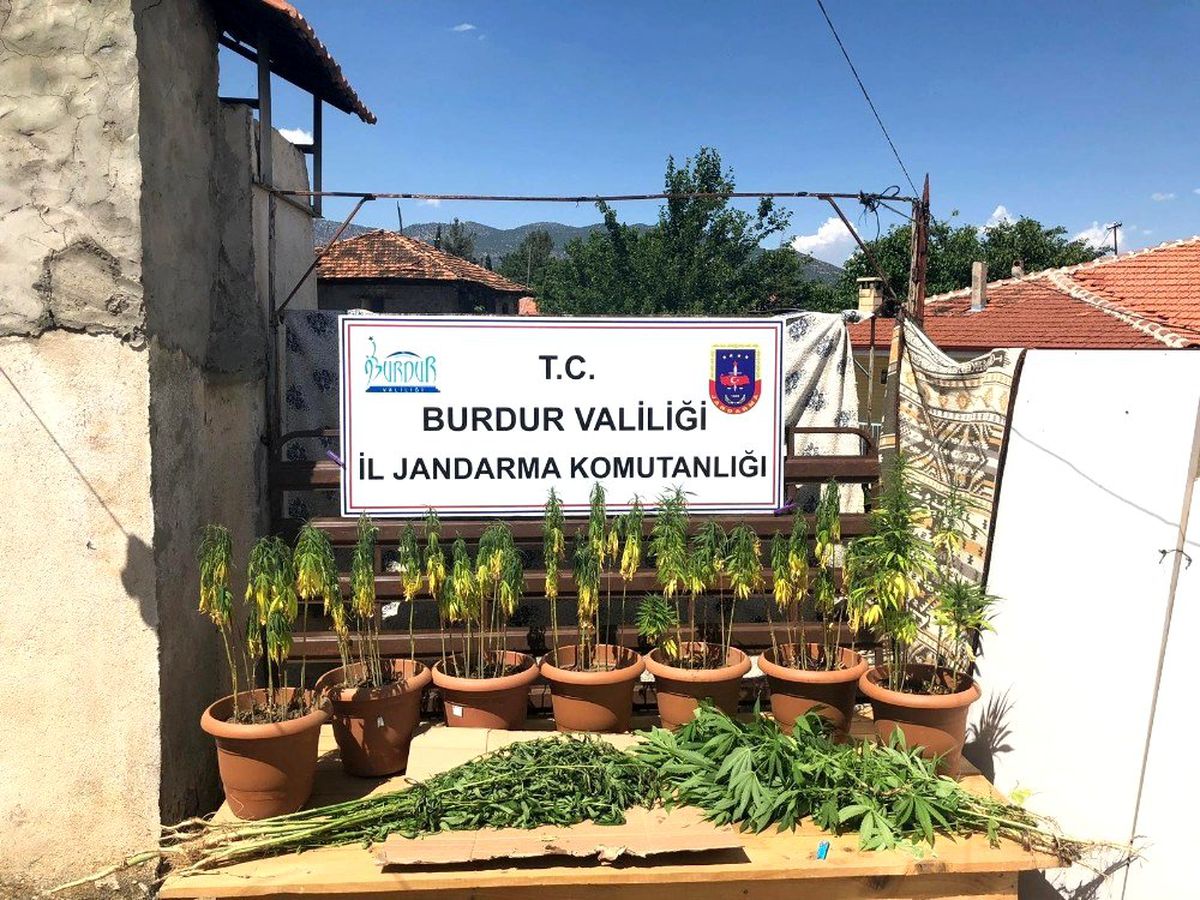 Burdur\'da yasak kenevir ekimi yapan 2 kişi suçüstü yakalandı