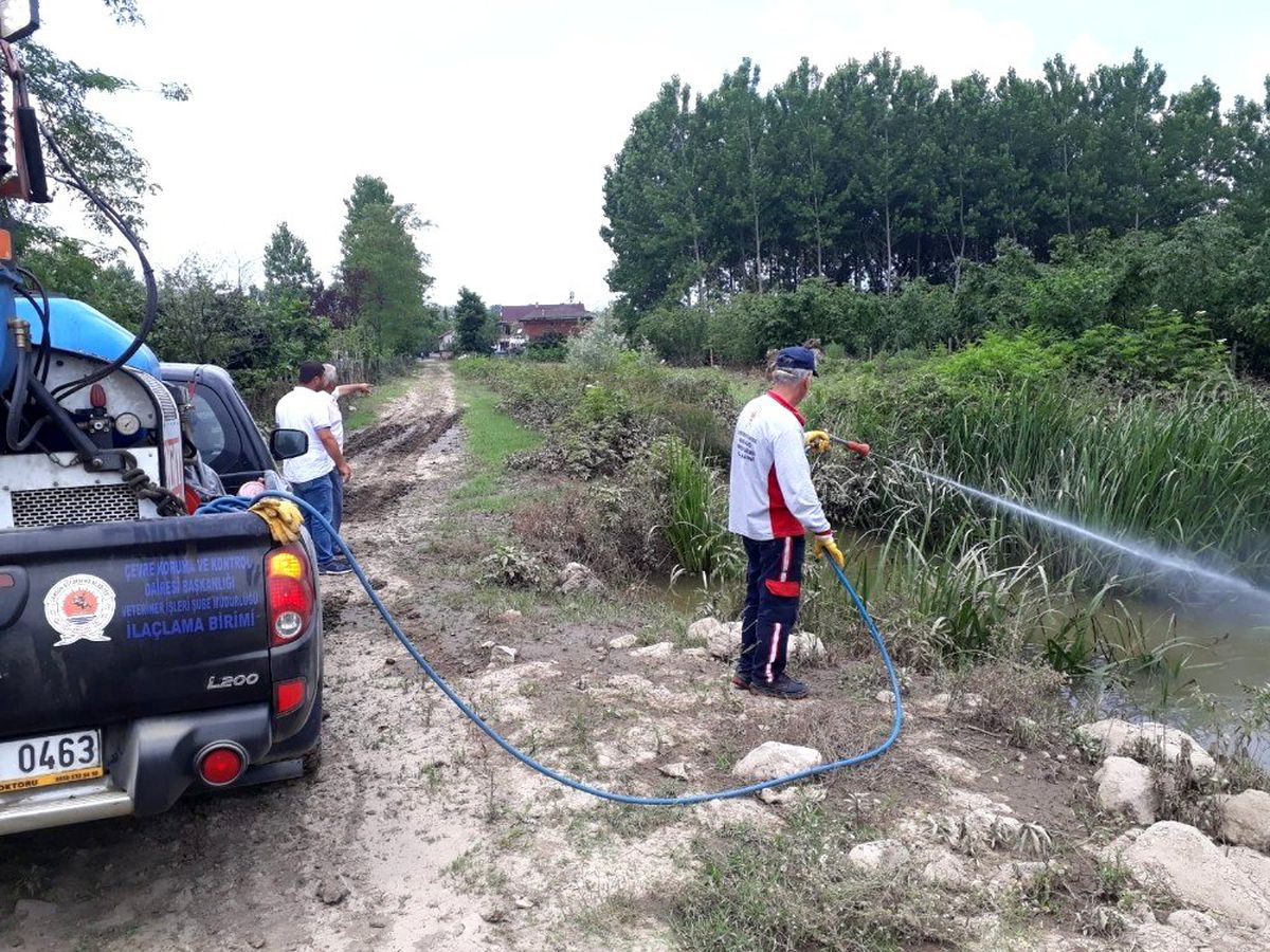 Büyükşehirden haşereye karşı motorize ilaçlama