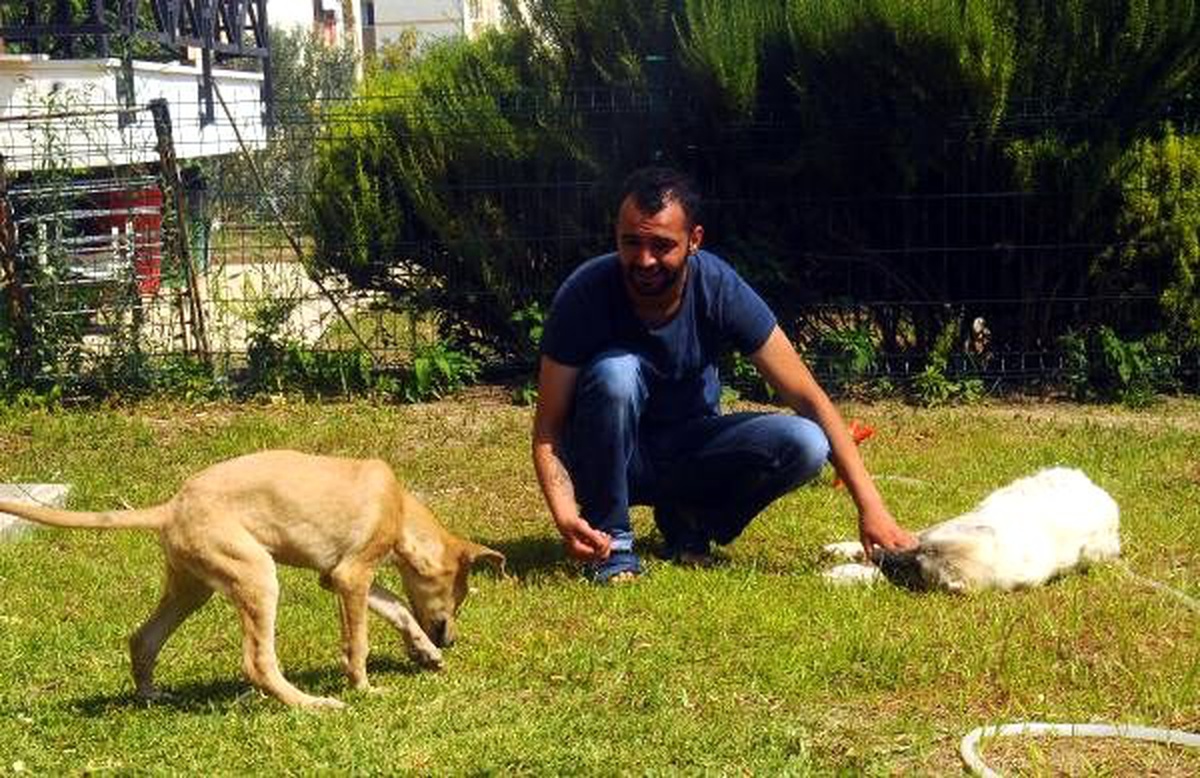 Hayata döndürdüğü hayvanları sahiplendiriyor