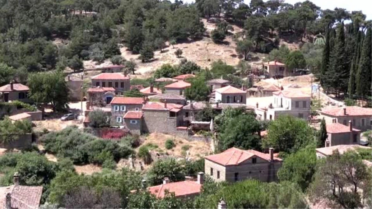 Huzuru Köyde Bulanlar - Televizyonculuğu bırakıp "arı vızıltısı" dinlemek için köye yerleşti