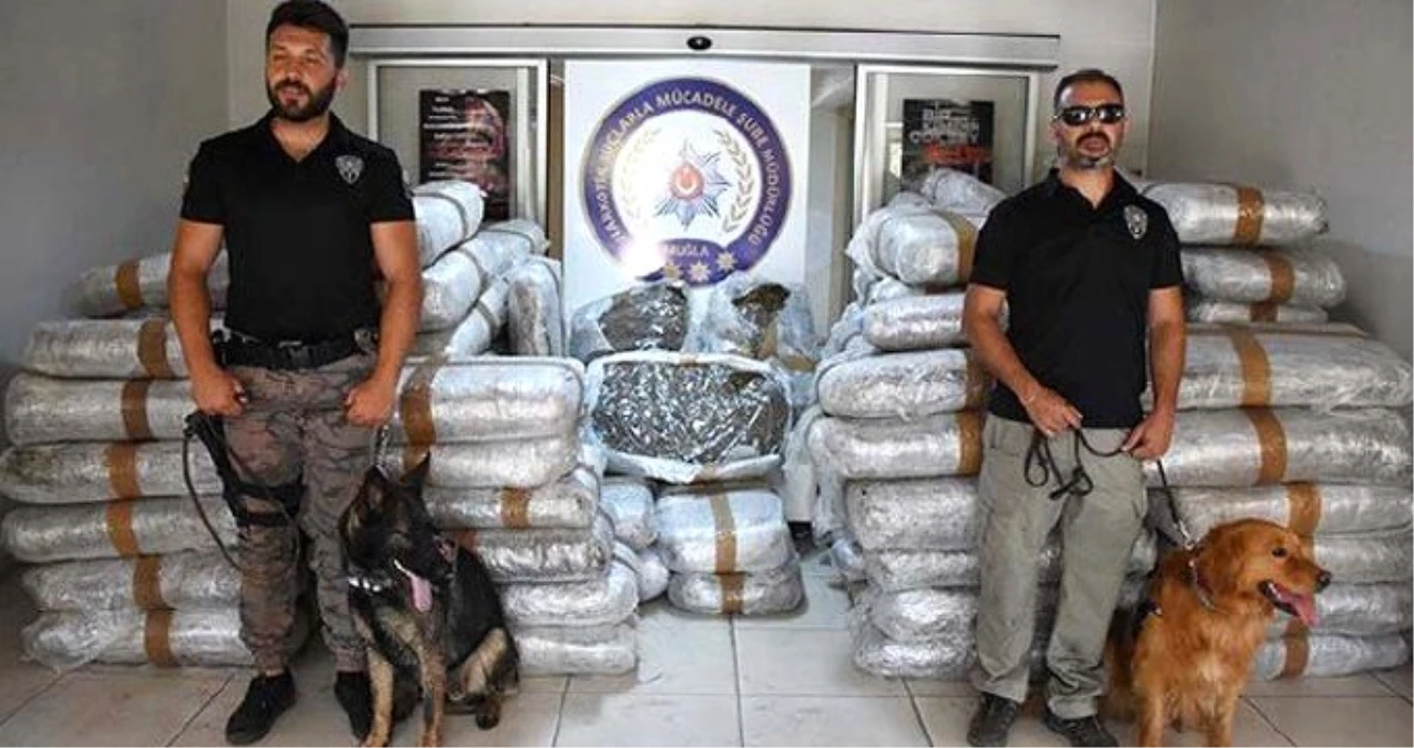 Kaçak yollarla Türkiye\'ye 1,5 ton uyuşturucu madde sokmaya çalışan çete yakalandı