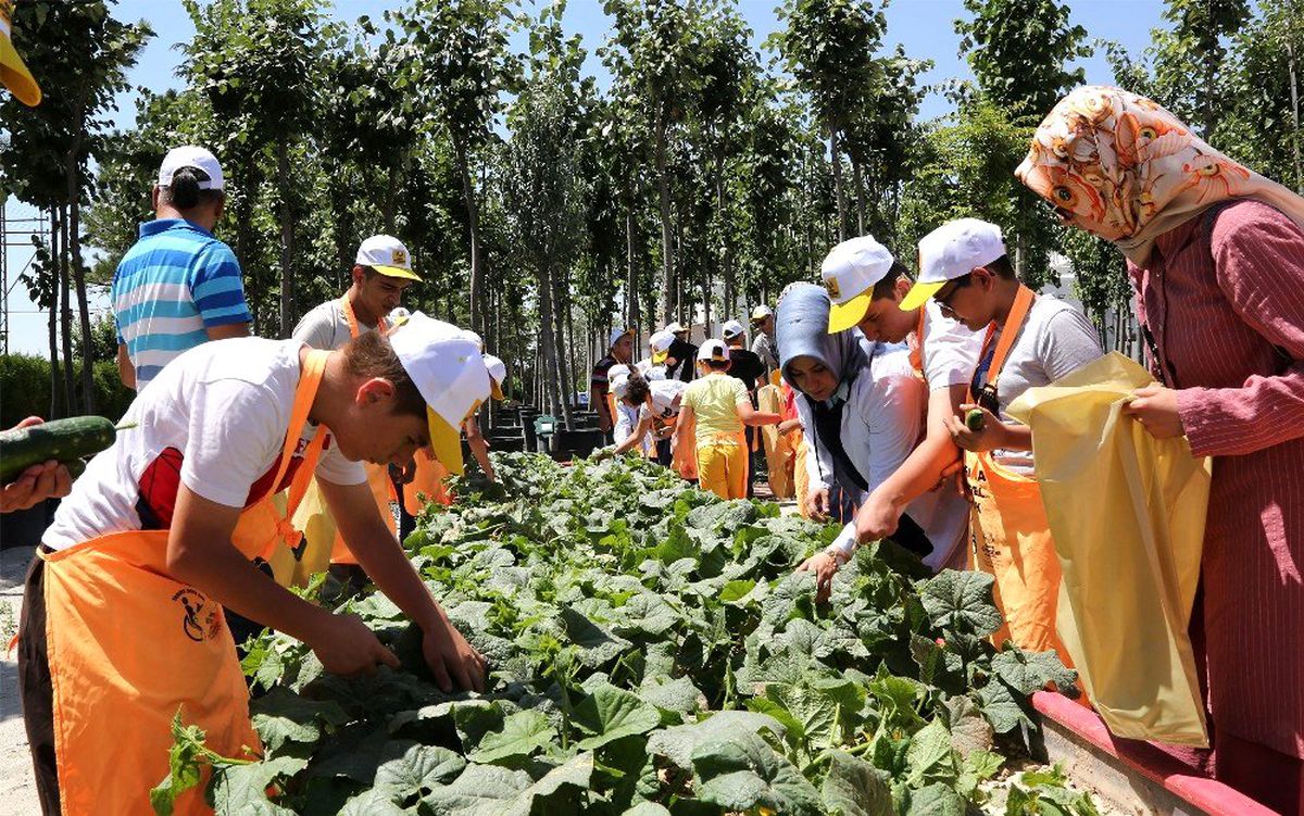Konya\'da özel öğrencilerin hasat sevinci