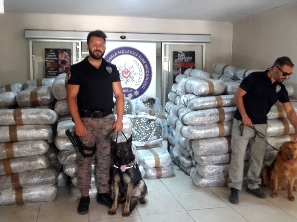 Muğla\'da deniz yoluyla Türkiye\'ye sokulmak istenen 1.5 ton uyuşturucu ele geçirildi