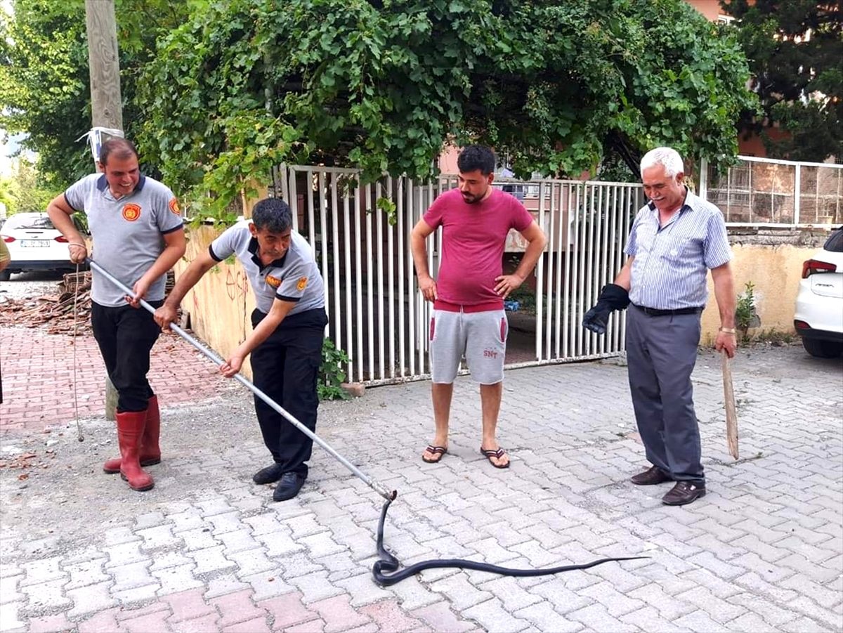 Oturma odasına giren yılanı itfaiye ekipleri yakaladı