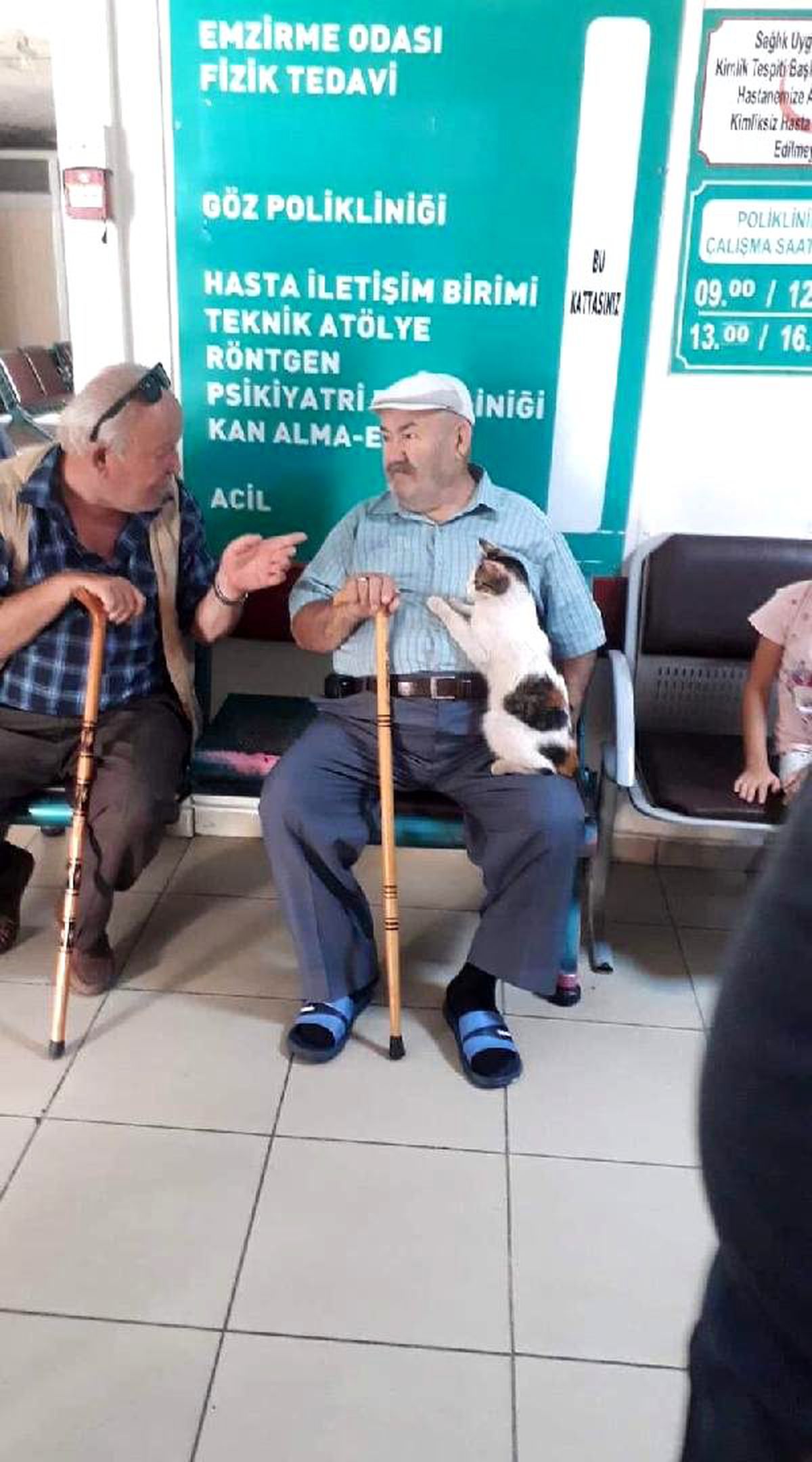 Sevimli kedi hastalara moral verdi