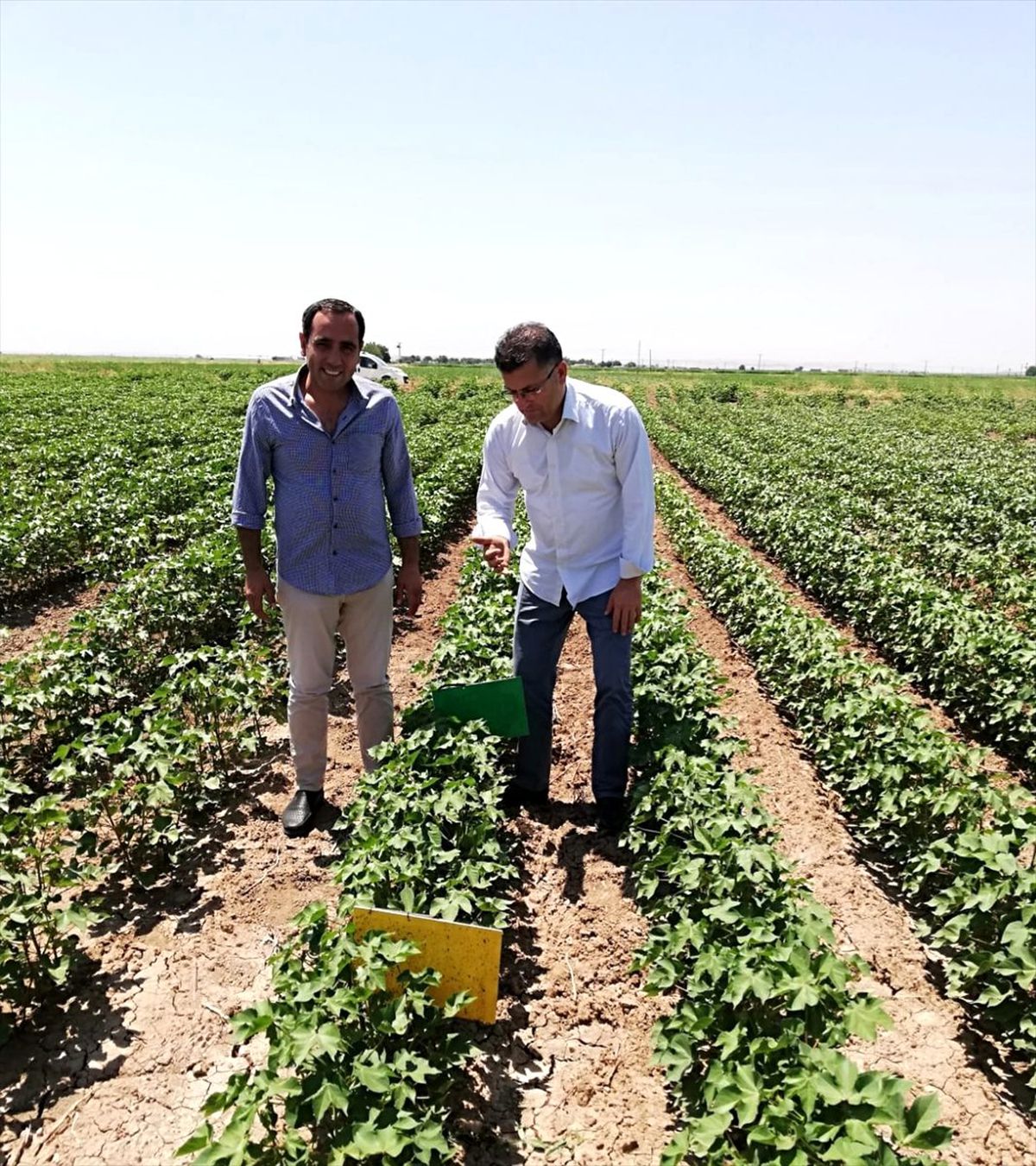 Suruç\'ta çiftçiler bilgilendirildi