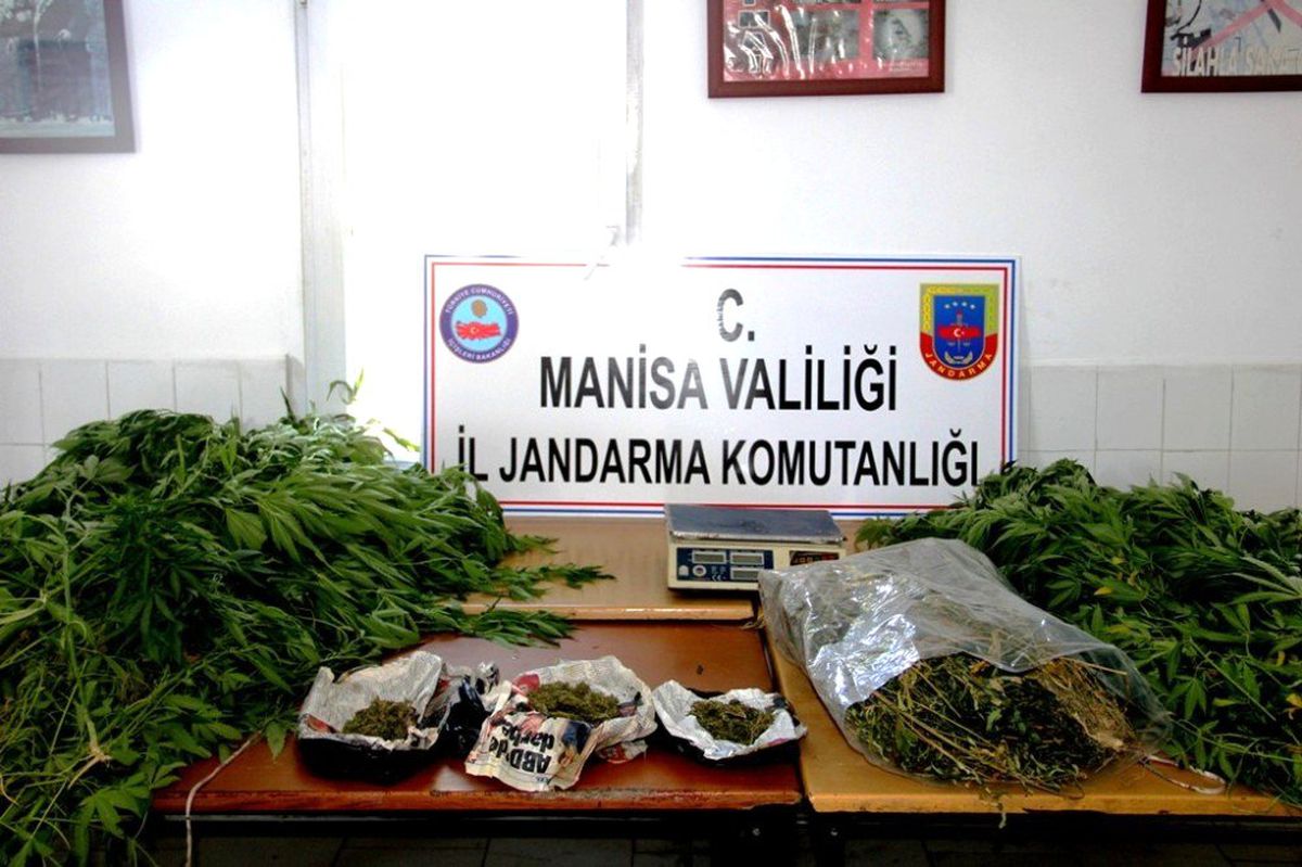 Uyuşturucu üreten baba-oğula jandarma baskını