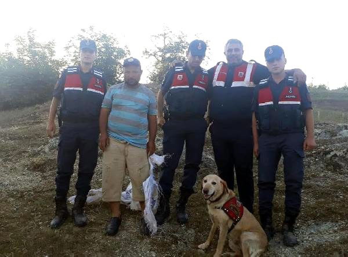 Zihinsel engelli Ümmet, dağlık alanda bulundu (2)