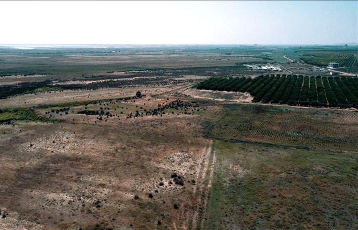 Adana Sera OSB’de Sera AŞ ile ortaklık arayışı